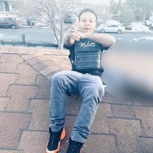 Meet your Posher, Årįėš